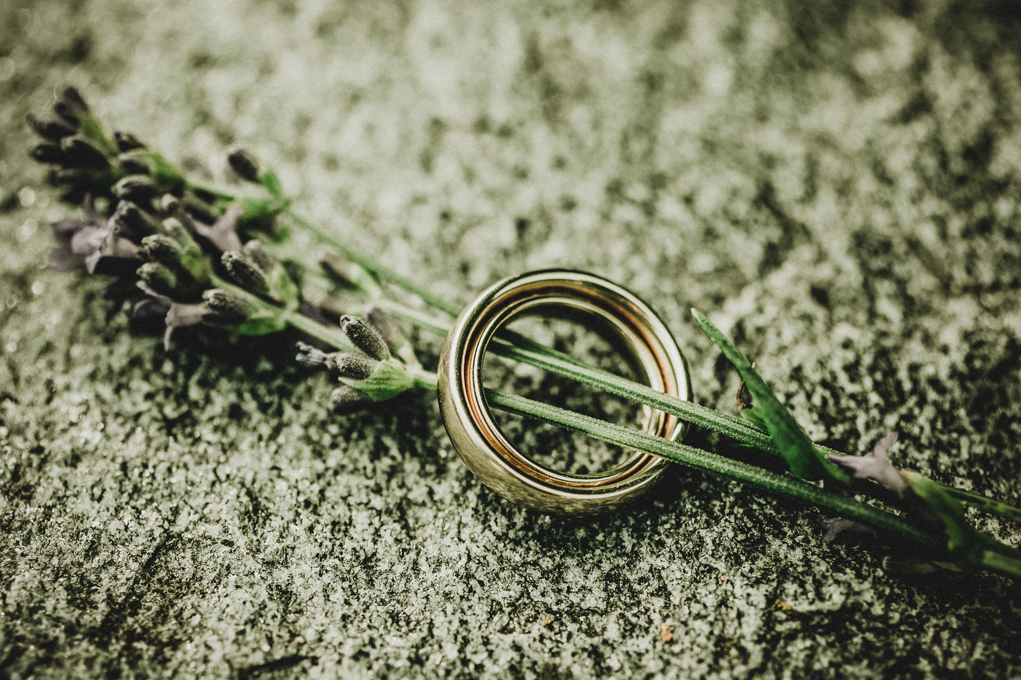 Export x3 038 JC 593 Beispiele Eva 2016